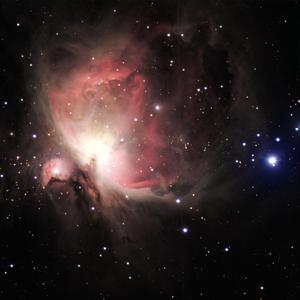 美女裸体推油露BB
