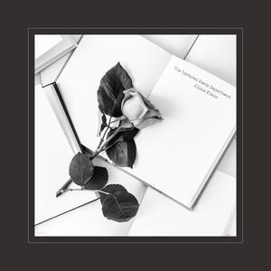 美女裸体推油露BB
